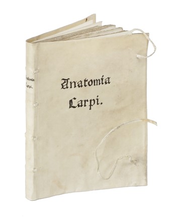  Berengario Jacopo : Anatomia Carpi. Isagoge breves perlucide ac uberime, in anatomiam humani corporis... Anatomia, Medicina  Mondino Liuzzi o Liucci (dei)  - Auction Books, autographs and manuscripts - Libreria Antiquaria Gonnelli - Casa d'Aste - Gonnelli Casa d'Aste