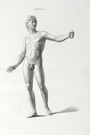  Caldani Leopoldo Marco Antonio : Icones anatomicae quotquot sunt celebriores ex optimis neotericorum operibus summa diligentia depromptae et collectae... (-Volumins tertii sectio altera).  Floriano Caldani  (Bologna, 1772 - Padova, 1836)  - Asta Libri, autografi e manoscritti - Libreria Antiquaria Gonnelli - Casa d'Aste - Gonnelli Casa d'Aste