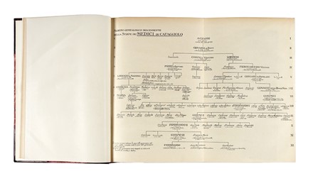  Strozzi Giovanni Battista [e altri] : Importante lotto di 9 opere sulla casata dei Medici.  Angelo Fabroni, Gaetano Pieraccini, Alessandro Ceccherelli, William Roscoe  - Asta Libri, autografi e manoscritti - Libreria Antiquaria Gonnelli - Casa d'Aste - Gonnelli Casa d'Aste