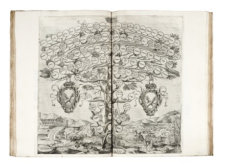  Ammirato Scipione : Delle famiglie nobili fiorentine... Storia locale, Letteratura italiana, Genealogia, Storia, Diritto e Politica, Letteratura, Storia, Diritto e Politica  - Auction Books, autographs and manuscripts - Libreria Antiquaria Gonnelli - Casa d'Aste - Gonnelli Casa d'Aste