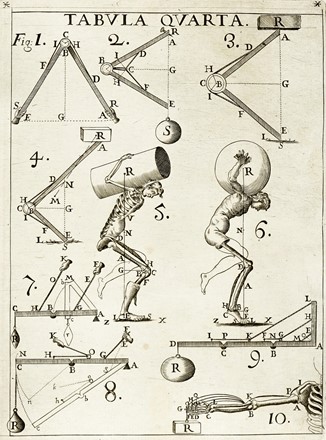  Borelli Giovanni Alfonso : De motu animalium [...] Opus posthumum. Pars prima [-altera]. Scienze naturali, Zoologia, Aeronautica, Scienze naturali, Scienze tecniche e matematiche  - Auction Books, autographs and manuscripts - Libreria Antiquaria Gonnelli - Casa d'Aste - Gonnelli Casa d'Aste
