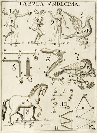  Borelli Giovanni Alfonso : De motu animalium [...] Opus posthumum. Pars prima [-altera]. Scienze naturali, Zoologia, Aeronautica, Scienze naturali, Scienze tecniche e matematiche  - Auction Books, autographs and manuscripts - Libreria Antiquaria Gonnelli - Casa d'Aste - Gonnelli Casa d'Aste