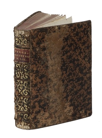  Montanari Pietro : La Verona illustrata ridotta in compendio principalmente per uso de' forestieri con varie aggiunte. Premessa in ristretto la vita del marchese Scipione Maffei. Parte prima [-seconda]. Geografia e viaggi, Storia locale, Storia, Diritto e Politica  - Auction Books, autographs and manuscripts - Libreria Antiquaria Gonnelli - Casa d'Aste - Gonnelli Casa d'Aste