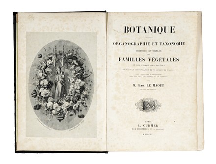  Le Maout Emmanuel : Les trois règnes de la Nature. Botanique. Organographie et taxonomie. Histoire naturelle des familles végétales...  - Asta Libri, autografi e manoscritti - Libreria Antiquaria Gonnelli - Casa d'Aste - Gonnelli Casa d'Aste