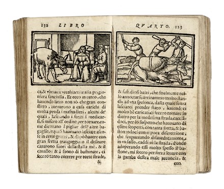  Apuleius : Il dilettevole asino d?oro [...] Con la cui trasformatione si narrano novelle piacevoli, e ridicolose, avvenimenti esemplari, casi memorabili, & meraviglie diversè Classici, Letteratura italiana, Figurato, Letteratura, Letteratura, Collezionismo e Bibliografia  - Auction Books, autographs and manuscripts - Libreria Antiquaria Gonnelli - Casa d'Aste - Gonnelli Casa d'Aste