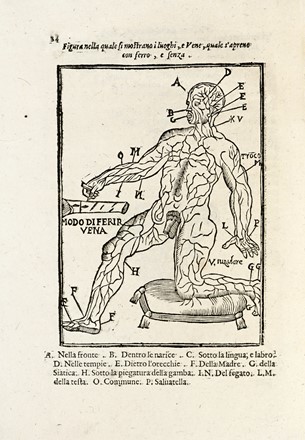  Amato Cinzio (d') : Prattica nuova, et utilissima di tutto quello, ch'al diligente barbiero s'appartiene: cioe di cavar sangue, medicar ferite; & balsamar corpi humani. Con altri mirabili secreti, e figure. Medicina, Figurato, Odontoiatria, Collezionismo e Bibliografia, Medicina  Giovanni Verardo Zeviani  - Auction Books, autographs and manuscripts - Libreria Antiquaria Gonnelli - Casa d'Aste - Gonnelli Casa d'Aste