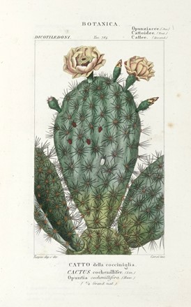 Dizionario delle Scienze Naturali, nel quale si tratta metodicamente dei differenti esseri della Natura, [...] la medicina, l'agricoltura, il commercio, e le arti [...] accompagnato da una biografia de' più celebri Naturalisti...  - Asta Libri, Autografi e Manoscritti - Libreria Antiquaria Gonnelli - Casa d'Aste - Gonnelli Casa d'Aste