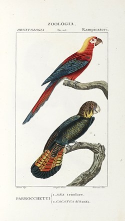 Dizionario delle Scienze Naturali, nel quale si tratta metodicamente dei differenti esseri della Natura, [...] la medicina, l'agricoltura, il commercio, e le arti [...] accompagnato da una biografia de' più celebri Naturalisti...  - Asta Libri, Autografi e Manoscritti - Libreria Antiquaria Gonnelli - Casa d'Aste - Gonnelli Casa d'Aste