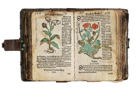  Ryff Walther Hermann : [Kurtzes Handtbuechlein, und Experiment...]. Botanica, Figurato, Legatura, Scienze naturali, Collezionismo e Bibliografia, Collezionismo e Bibliografia  - Auction Books, autographs and manuscripts - Libreria Antiquaria Gonnelli - Casa d'Aste - Gonnelli Casa d'Aste