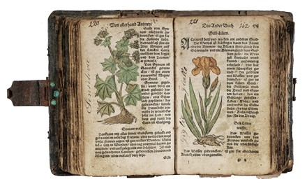  Ryff Walther Hermann : [Kurtzes Handtbuechlein, und Experiment...]. Botanica, Figurato, Legatura, Scienze naturali, Collezionismo e Bibliografia, Collezionismo e Bibliografia  - Auction Books, autographs and manuscripts - Libreria Antiquaria Gonnelli - Casa d'Aste - Gonnelli Casa d'Aste