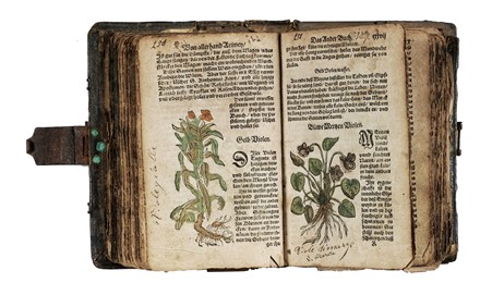  Ryff Walther Hermann : [Kurtzes Handtbuechlein, und Experiment...]. Botanica, Figurato, Legatura, Scienze naturali, Collezionismo e Bibliografia, Collezionismo e Bibliografia  - Auction Books, autographs and manuscripts - Libreria Antiquaria Gonnelli - Casa d'Aste - Gonnelli Casa d'Aste