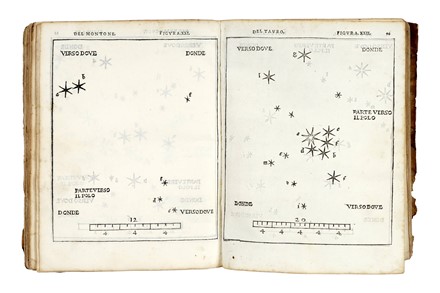  Piccolomini Alessandro : De la sfera del mondo. Libri quattro in lingua toscana [...] De le stelle fisse. Libro uno con le sue figure, e con le sue tavole... Scienze tecniche e matematiche, Astronomia  - Auction Books, Autographs and Manuscripts - Libreria Antiquaria Gonnelli - Casa d'Aste - Gonnelli Casa d'Aste