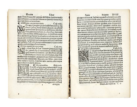  Ficino Marsilio : De triplici vita aurea volumina tria... Filosofia, Medicina, Astrologia, Medicina alternativa, Occultismo, Medicina  - Auction Books, Autographs and Manuscripts - Libreria Antiquaria Gonnelli - Casa d'Aste - Gonnelli Casa d'Aste