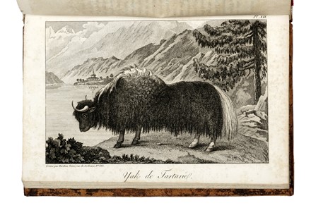  Turner Samuel : Ambassade au Thibet et au Boutan... Geografia e viaggi  - Auction Books, Autographs and Manuscripts - Libreria Antiquaria Gonnelli - Casa d'Aste - Gonnelli Casa d'Aste