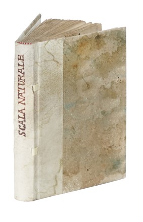  Maffei Giovanni Camillo : Scala naturale overo fantasia dolcissima... Scienze naturali, Filosofia  - Auction Books, Autographs and Manuscripts - Libreria Antiquaria Gonnelli - Casa d'Aste - Gonnelli Casa d'Aste