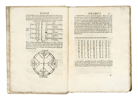  Virdung Johann : De cognoscendis, et medendis morbis ex corporum coelestium positione Libri IIII? Astrologia, Figurato, Medicina  - Auction Books, Autographs and Manuscripts - Libreria Antiquaria Gonnelli - Casa d'Aste - Gonnelli Casa d'Aste