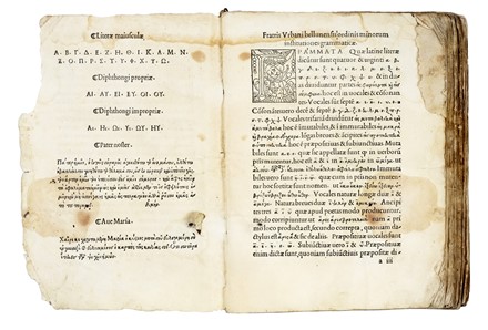  Bolzanio Urbano : [Institutiones Graecae grammatices]. Aldina, Grammatica, Collezionismo e Bibliografia, Letteratura  - Auction Books, Autographs and Manuscripts - Libreria Antiquaria Gonnelli - Casa d'Aste - Gonnelli Casa d'Aste