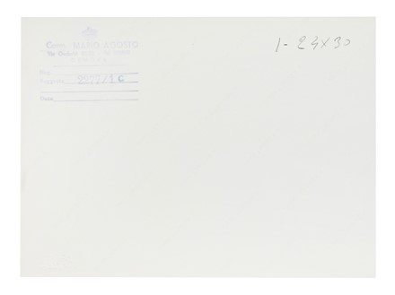  Marina, Geografia e viaggi : Album di fotografie professionali della Raffaello e altri transatlantici.  - Auction Books, Autographs and Manuscripts - Libreria Antiquaria Gonnelli - Casa d'Aste - Gonnelli Casa d'Aste