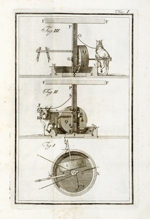  Gandolfi Bartolommeo : Saggio teorico pratico sopra gli ulivi l'olio e i saponi...  - Asta Libri, autografi e manoscritti - Libreria Antiquaria Gonnelli - Casa d'Aste - Gonnelli Casa d'Aste