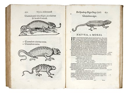  Aldrovandi Ulisse : De quadrupedibus digitatis viviparis libri tres et de quadrupedibus digitatis oviparis libri duo...  - Auction Books, Autographs and Manuscripts - Libreria Antiquaria Gonnelli - Casa d'Aste - Gonnelli Casa d'Aste