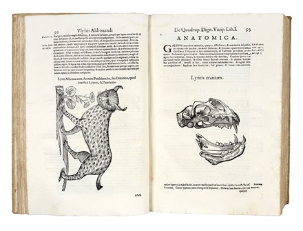  Aldrovandi Ulisse : De quadrupedibus digitatis viviparis libri tres et de quadrupedibus digitatis oviparis libri duo...  - Auction Books, Autographs and Manuscripts - Libreria Antiquaria Gonnelli - Casa d'Aste - Gonnelli Casa d'Aste