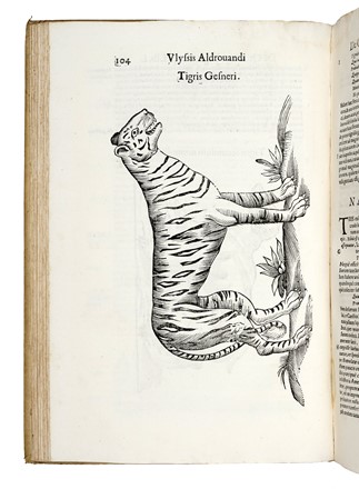  Aldrovandi Ulisse : De quadrupedibus digitatis viviparis libri tres et de quadrupedibus digitatis oviparis libri duo...  - Auction Books, Autographs and Manuscripts - Libreria Antiquaria Gonnelli - Casa d'Aste - Gonnelli Casa d'Aste