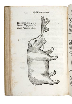  Aldrovandi Ulisse : De quadrupedibus digitatis viviparis libri tres et de quadrupedibus digitatis oviparis libri duo...  - Auction Books, Autographs and Manuscripts - Libreria Antiquaria Gonnelli - Casa d'Aste - Gonnelli Casa d'Aste