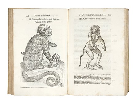  Aldrovandi Ulisse : De quadrupedibus digitatis viviparis libri tres et de quadrupedibus digitatis oviparis libri duo...  - Auction Books, Autographs and Manuscripts - Libreria Antiquaria Gonnelli - Casa d'Aste - Gonnelli Casa d'Aste