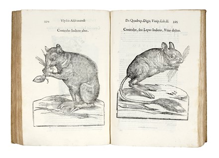  Aldrovandi Ulisse : De quadrupedibus digitatis viviparis libri tres et de quadrupedibus digitatis oviparis libri duo...  - Auction Books, Autographs and Manuscripts - Libreria Antiquaria Gonnelli - Casa d'Aste - Gonnelli Casa d'Aste