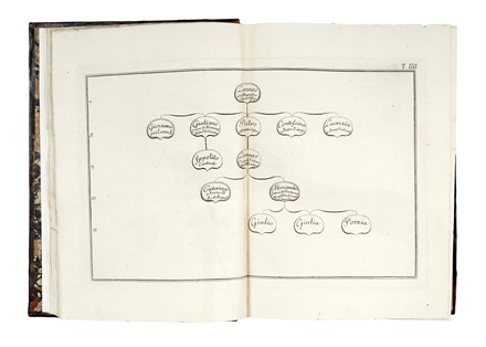  Galluzzi Iacopo Riguccio : Istoria del Granducato di Toscana sotto il governo della casa Medici [...]. Tomo primo (-quinto).  - Asta Libri, autografi e manoscritti - Libreria Antiquaria Gonnelli - Casa d'Aste - Gonnelli Casa d'Aste