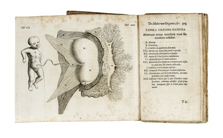  Graaf Reinier (de) : De mulierum organis generationi inservientibus tractatus novus... Medicina  - Auction Books, Autographs and Manuscripts - Libreria Antiquaria Gonnelli - Casa d'Aste - Gonnelli Casa d'Aste