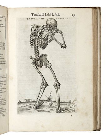  Valverde de Hamusco Juan : La anatomia del corpo umano [...] Nuouamente ristampata et con l'aggiunta di alcune tauole ampliata. Anatomia, Medicina, Figurato  - Auction Books, Autographs and Manuscripts - Libreria Antiquaria Gonnelli - Casa d'Aste - Gonnelli Casa d'Aste