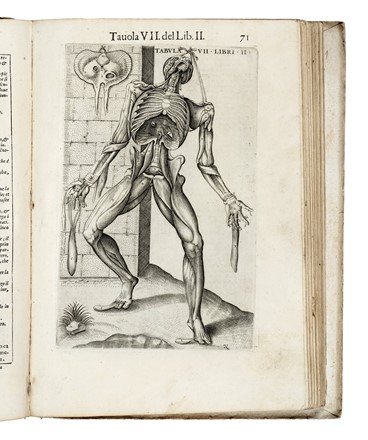  Valverde de Hamusco Juan : La anatomia del corpo umano [...] Nuouamente ristampata et con l'aggiunta di alcune tauole ampliata. Anatomia, Medicina, Figurato  - Auction Books, Autographs and Manuscripts - Libreria Antiquaria Gonnelli - Casa d'Aste - Gonnelli Casa d'Aste
