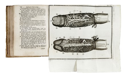  Heister Lorenz : Compendium anatomicum totam rem anatomicam brevissime complectens... Anatomia, Medicina, Chirurgia, Medicina, Medicina  - Auction Books, Autographs and Manuscripts - Libreria Antiquaria Gonnelli - Casa d'Aste - Gonnelli Casa d'Aste