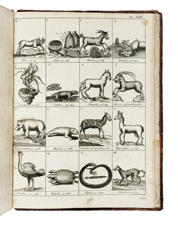  Lemery Nicolas : Trait� universel des drogues simples... Farmacologia  - Auction Books, Autographs and Manuscripts - Libreria Antiquaria Gonnelli - Casa d'Aste - Gonnelli Casa d'Aste