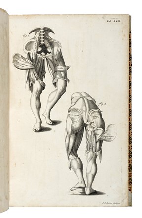  Manget Jean Jacques : Theatrum anatomicum. Medicina, Figurato, Collezionismo e Bibliografia  Bartolomeo Eustachi, Johann Georg Seiller  - Auction Books, Autographs and Manuscripts - Libreria Antiquaria Gonnelli - Casa d'Aste - Gonnelli Casa d'Aste