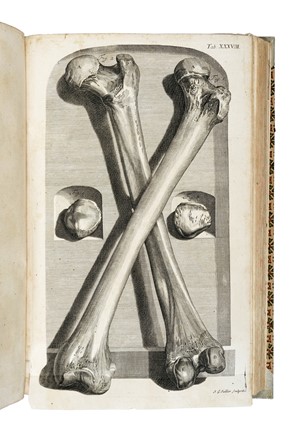  Manget Jean Jacques : Theatrum anatomicum. Medicina, Figurato, Collezionismo e Bibliografia  Bartolomeo Eustachi, Johann Georg Seiller  - Auction Books, Autographs and Manuscripts - Libreria Antiquaria Gonnelli - Casa d'Aste - Gonnelli Casa d'Aste