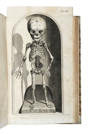  Manget Jean Jacques : Theatrum anatomicum. Medicina, Figurato, Collezionismo e Bibliografia  Bartolomeo Eustachi, Johann Georg Seiller  - Auction Books, Autographs and Manuscripts - Libreria Antiquaria Gonnelli - Casa d'Aste - Gonnelli Casa d'Aste