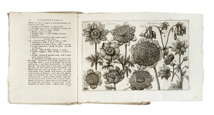  Arena Filippo : La natura, e coltura de' fiori fisicamente esposta in due trattati [...]. Tomo primo (-terzo). Botanica, Figurato, Scienze naturali, Collezionismo e Bibliografia  - Auction Books, Autographs and Manuscripts - Libreria Antiquaria Gonnelli - Casa d'Aste - Gonnelli Casa d'Aste