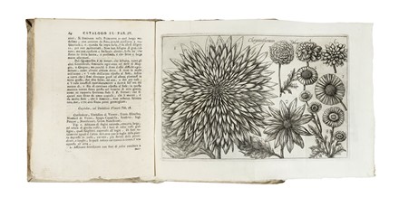  Arena Filippo : La natura, e coltura de' fiori fisicamente esposta in due trattati [...]. Tomo primo (-terzo). Botanica, Figurato, Scienze naturali, Collezionismo e Bibliografia  - Auction Books, Autographs and Manuscripts - Libreria Antiquaria Gonnelli - Casa d'Aste - Gonnelli Casa d'Aste