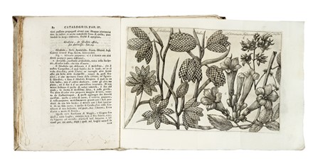  Arena Filippo : La natura, e coltura de' fiori fisicamente esposta in due trattati [...]. Tomo primo (-terzo). Botanica, Figurato, Scienze naturali, Collezionismo e Bibliografia  - Auction Books, Autographs and Manuscripts - Libreria Antiquaria Gonnelli - Casa d'Aste - Gonnelli Casa d'Aste