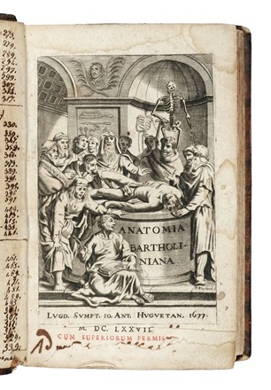  Bartholin Thomas : Anatome quartum renovata... Anatomia, Medicina, Figurato  - Auction Libri, Autografi e Manoscritti - Libreria Antiquaria Gonnelli - Casa d'Aste - Gonnelli Casa d'Aste