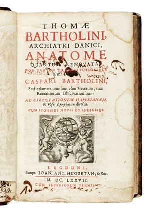  Bartholin Thomas : Anatome quartum renovata... Anatomia, Medicina, Figurato  - Auction Libri, Autografi e Manoscritti - Libreria Antiquaria Gonnelli - Casa d'Aste - Gonnelli Casa d'Aste