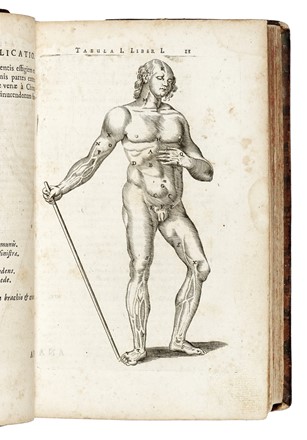  Bartholin Thomas : Anatome quartum renovata... Anatomia, Medicina, Figurato  - Auction Libri, Autografi e Manoscritti - Libreria Antiquaria Gonnelli - Casa d'Aste - Gonnelli Casa d'Aste