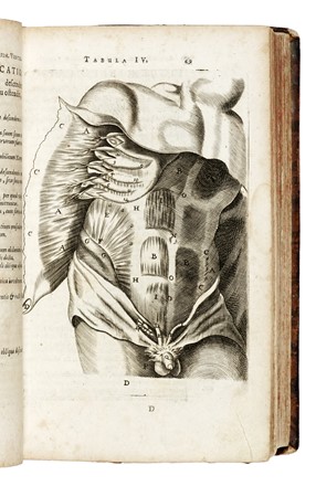  Bartholin Thomas : Anatome quartum renovata... Anatomia, Medicina, Figurato  - Auction Libri, Autografi e Manoscritti - Libreria Antiquaria Gonnelli - Casa d'Aste - Gonnelli Casa d'Aste