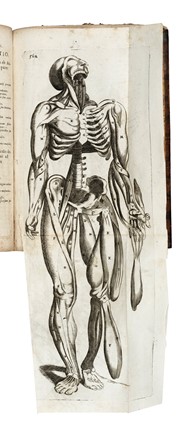  Bartholin Thomas : Anatome quartum renovata... Anatomia, Medicina, Figurato  - Auction Libri, Autografi e Manoscritti - Libreria Antiquaria Gonnelli - Casa d'Aste - Gonnelli Casa d'Aste