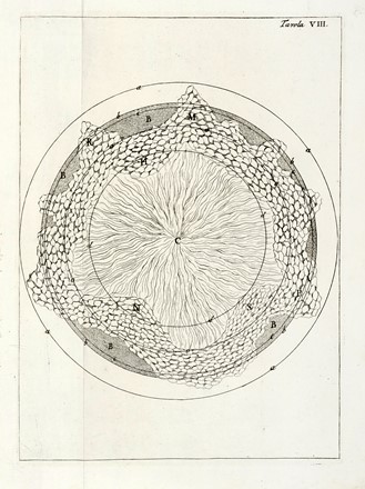 Moro Antonio Lazzaro : De' crostacei e degli altri marini corpi... Geologia - vulcani e terremoti, Scienze naturali  - Auction Books, Autographs and Manuscripts - Libreria Antiquaria Gonnelli - Casa d'Aste - Gonnelli Casa d'Aste