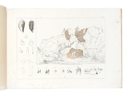  Della Marmora Alberto : Voyage en Sardaigne [...] Atlas de la troisieme partie. Geologie. Geografia e viaggi, Atlanti, Geografia e viaggi  - Auction Books, Autographs and Manuscripts - Libreria Antiquaria Gonnelli - Casa d'Aste - Gonnelli Casa d'Aste