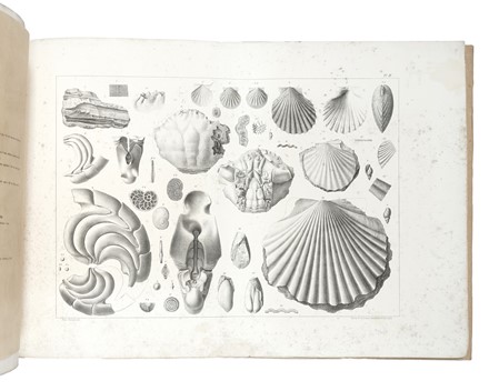 Della Marmora Alberto : Voyage en Sardaigne [...] Atlas de la troisieme partie. Geologie. Geografia e viaggi, Atlanti, Geografia e viaggi  - Auction Books, Autographs and Manuscripts - Libreria Antiquaria Gonnelli - Casa d'Aste - Gonnelli Casa d'Aste