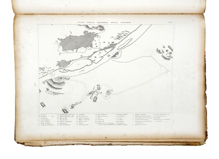  Denon Dominique Vivant : Viaggio nel basso e alto Egitto illustrato dietro alle tracce e ai disegni del Sig. Denon. Egittologia, Archeologia, Figurato, Storia, Diritto e Politica, Arte, Collezionismo e Bibliografia  Francesco Fontani  - Auction Books, Autographs and Manuscripts - Libreria Antiquaria Gonnelli - Casa d'Aste - Gonnelli Casa d'Aste